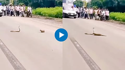 Viral VIdeo