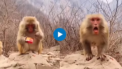 Viral Video