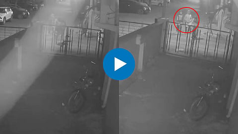 Viral Video News