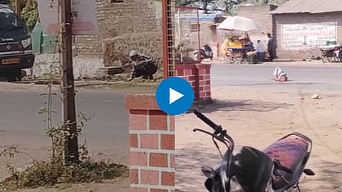 Shocking Viral Video