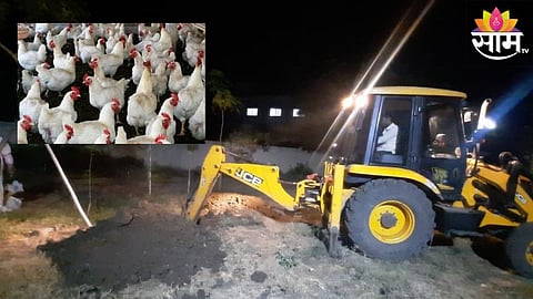 Bird Flu