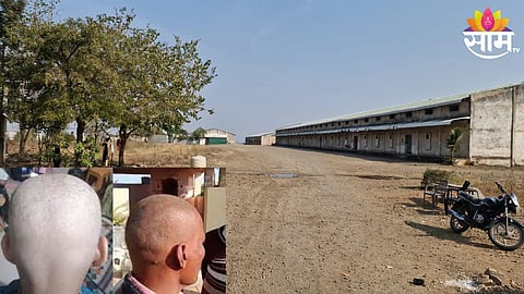 Buldhana Takkal Virus