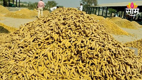 Turmeric Price