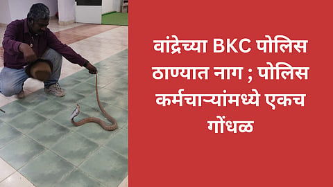 snake in bkc police station mumbai
