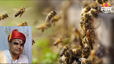 Bee Attack