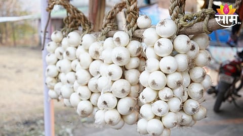 White Onion