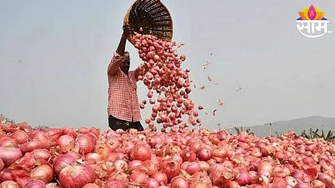 Onion Price