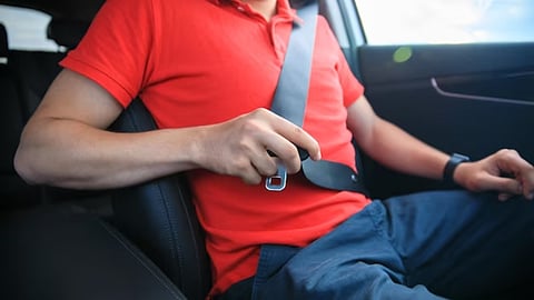 Seat Belt
