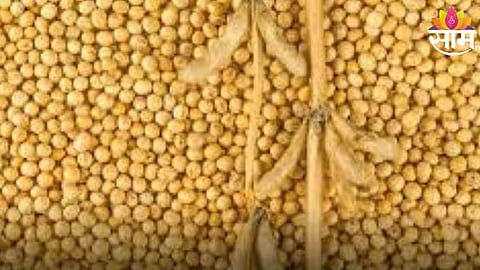 Soyabean Price