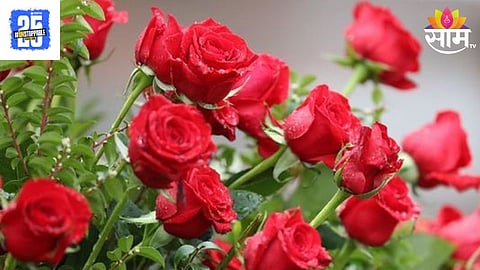 Valentine Day