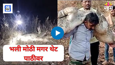 Shocking Viral Video