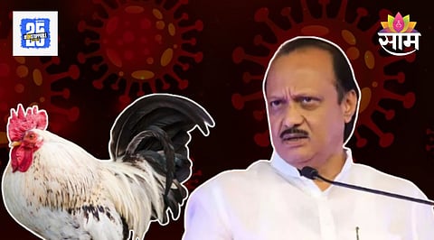 Ajit Pawar GBS Chicken Statement Expert reaction