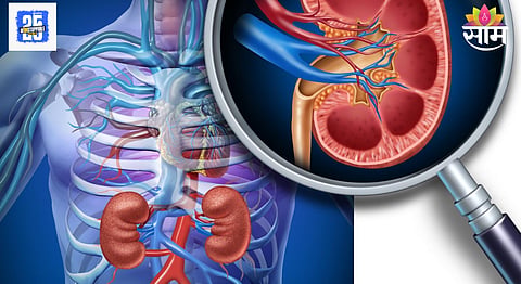Signs Of Kidney Damage In Urine