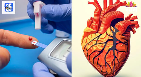 Diabetes patients heart risk expert advice