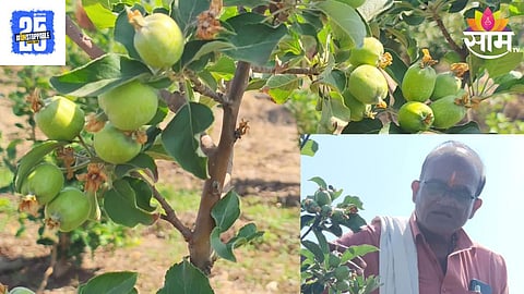 Farmer Success Story