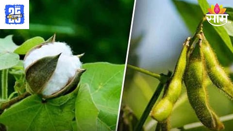 Agriculture News