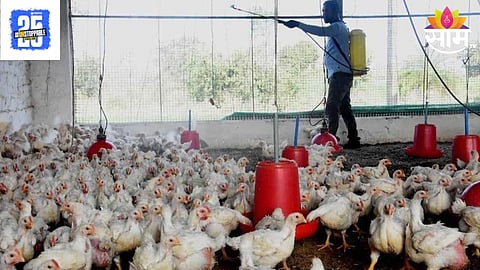 Bird Flu