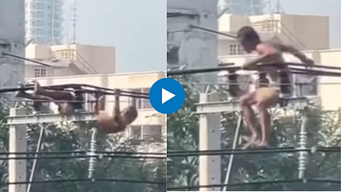 Shocking Video