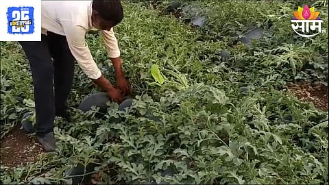 Agriculture News