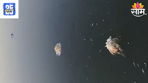 Neera Canal