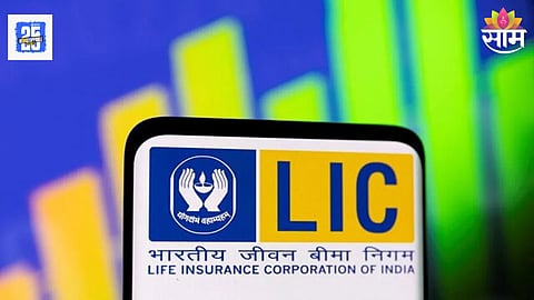 LIC investment risks