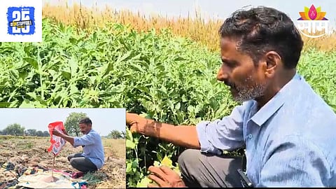 Farmer Success Story