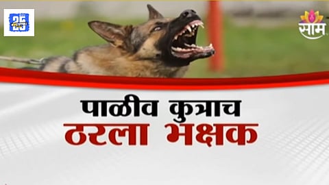  German Shepherd dog kept by woman kills owner 