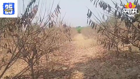 Jalna Water Shortage