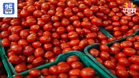 Tomato Price