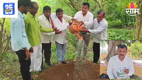 World Forest Day