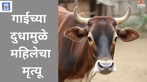 Rabies Death Linked to Cow's Milk