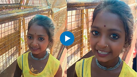 Viral Video