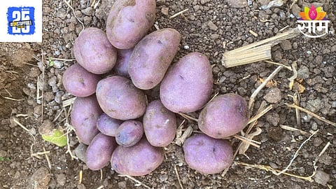 Farmer Success Story