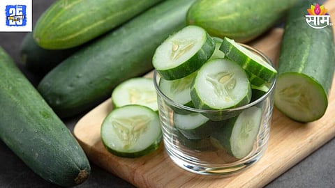Cucumber