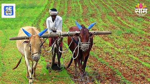 PM Kisan Yojana