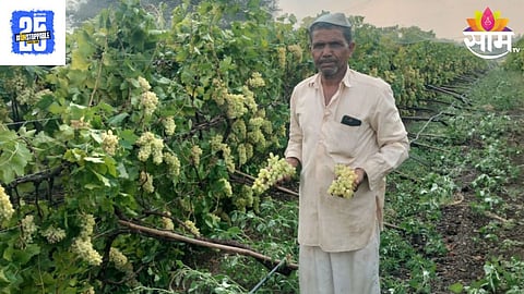 Solapur Unseasonal Rain