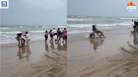 Women Fight Video