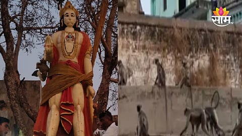Hira Maruti idol in Jalgaon Pahur 
