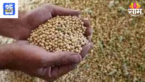 Soyabean Price