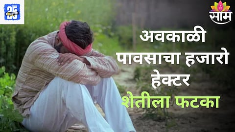 Unseasonal Rain: अवकाळी पाऊस आणि गारपिटीचा हजारो हेक्टर शेतीला फटका; एका रात्रीत पिकं आडवी झाली,  बळीराजाच्या डोळ्यात पाणी 