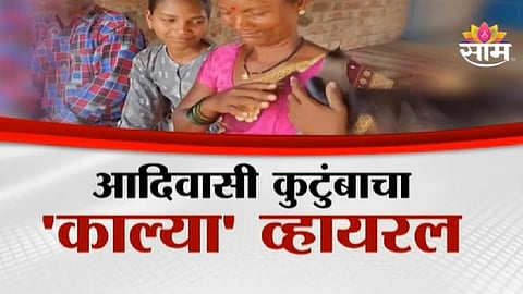 Palghar Gargaon speaking crow video viral