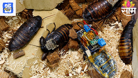 Earthquake Rescue