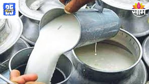 Milk Price 
