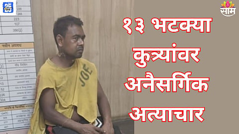 Delhi man arrested for dog abuse