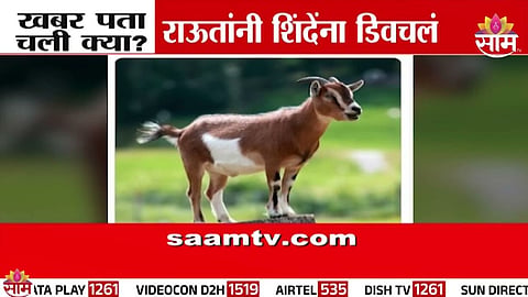 Sanjay Raut vs Eknath Shinde