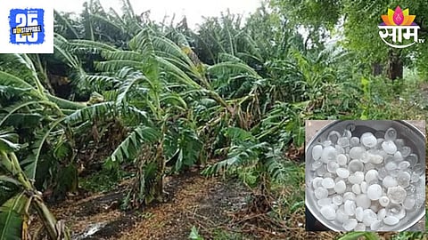 Jalgaon Unseasonal Rain