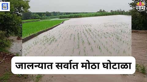 Jalna Latest News Update