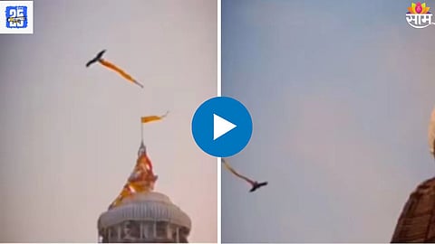 Viral Video