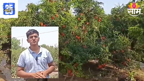 Farmer Success Story