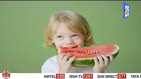 watermelon
